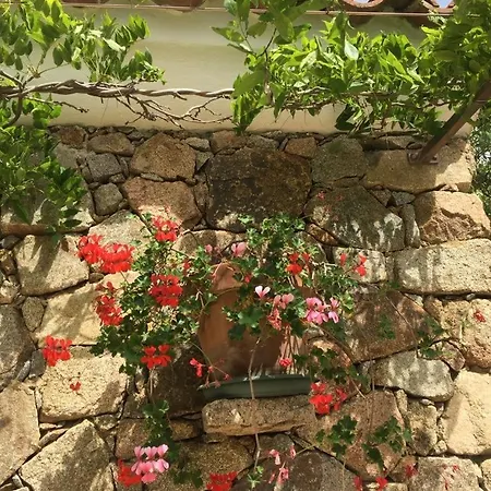 Stazzo Isola Rossa Di Gallura Holiday home