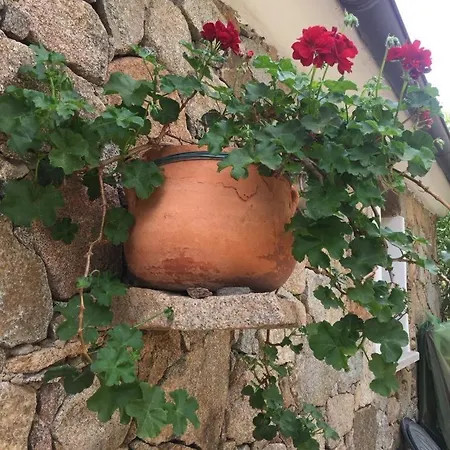 Stazzo Isola Rossa Di Gallura * Trinita d'Agultu e Vignola