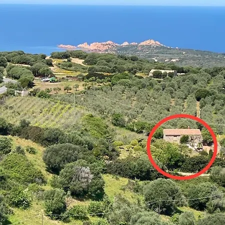 Stazzo Isola Rossa Di Gallura Holiday home Trinita d'Agultu e Vignola