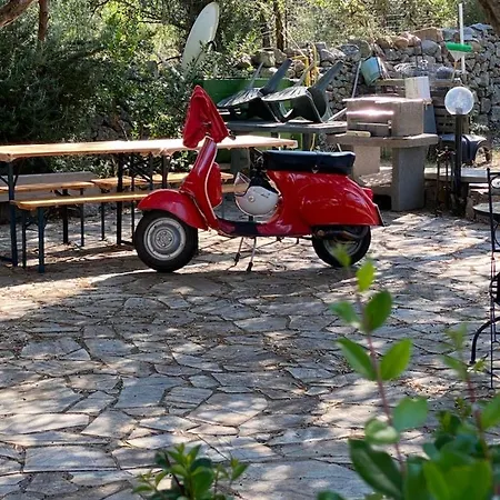 Stazzo Isola Rossa Di Gallura Holiday home Trinita d'Agultu e Vignola