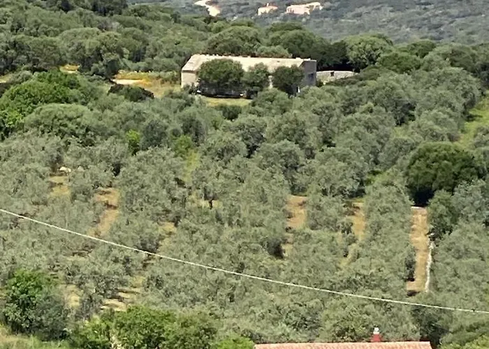 Stazzo Isola Rossa Di Gallura
