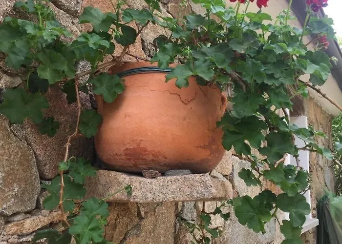 Stazzo Isola Rossa Di Gallura * Trinità dʼAgultu